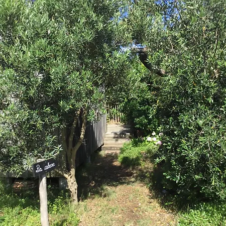Dans La Verdure Panzió